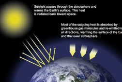 اثرات گرم شدن زمین
